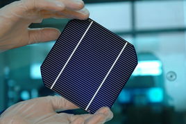 光伏寒冬下的逆势生长 晶龙集团何以一枝独秀，实现光源设备满负荷生产？